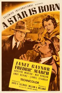 Постер до фильму"Зірка народилася" #993081