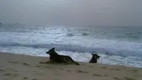 Задник до фильму"" #746912