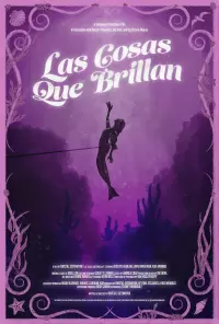 Las cosas que brillan