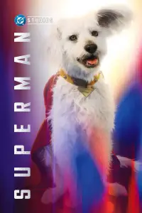 Постер до фильму"Супермен: Спадок" #898107