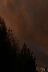 Постер до фильму"" #806958