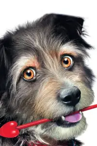 Постер до фильму"" #1111311