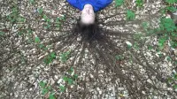 Задник до фильму"" #719261
