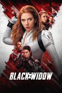 Постер до фильму"Чорна вдова" #935427