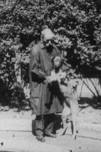 Постер до фильму"" #1197216