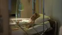 Задник до фильму"Твін-Пікс: Зниклі фрагменти" #878602