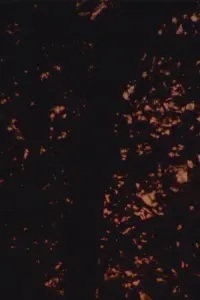 Постер до фильму"" #786466