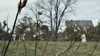 Задник до фильму"" #716801