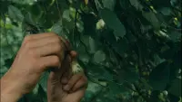 Задник до фильму"" #814223