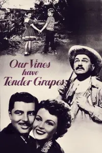 Our Vines Have Tender Grapes