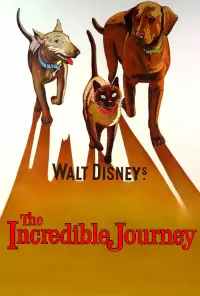 Постер до фильму"" #1018946