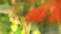 Задник до фильму"" #582828