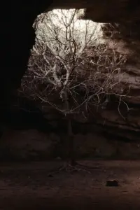 All Things Pass and Will Pass Again