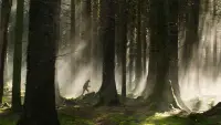 Задник до фильму"" #882504