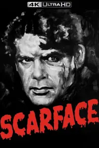 Постер до фильму"Обличчя зі шрамом" #977708