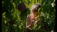 Задник до фильму"Алькаррас" #383950