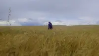 Задник до фильму"Супермен" #800805