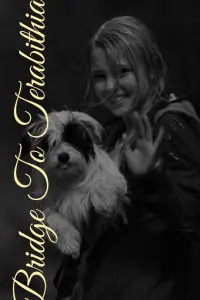 Постер до фильму"Міст у Терабітію" #853978