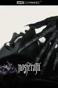 Постер до фильму"Носферату" #905138