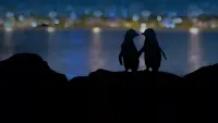 Задник до фильму"" #749104