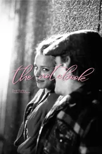 Постер до фильму"Щоденник пам’яті" #816887