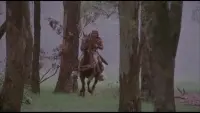 Задник до фильму"" #717002
