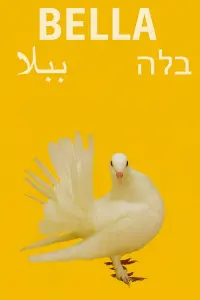 Постер до фильму"" #828199