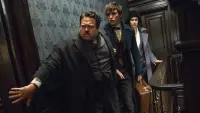 Задник до фильму"Фантастичні звірі та де їх шукати" #224152
