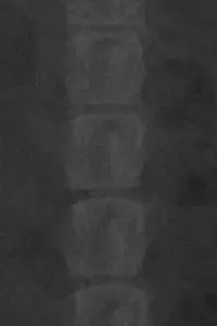 Постер до фильму"" #657885