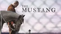 Задник до фильму"Мустанг" #975946
