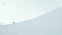Задник до фильму"" #706859