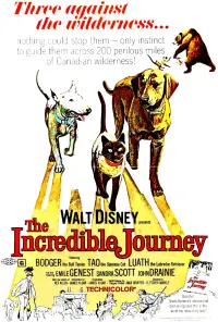 Постер до фильму"" #1018947