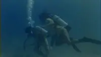 Задник до фильму"" #894664