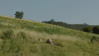 Задник до фильму"" #775602
