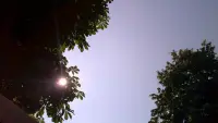 Задник до фильму"" #798611