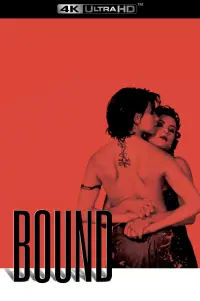 Постер до фильму"Зв