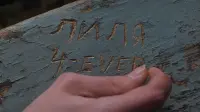 Задник до фильму"Ліля назавжди" #780328
