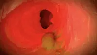 Задник до фильму"" #769399