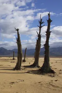 Постер до фильму"" #1105668