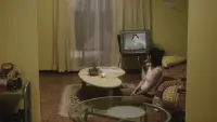 Задник до фильму"" #277675