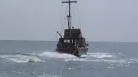 Задник до фильму"Щелепи" #815593