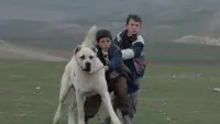 Задник до фильму"" #772801