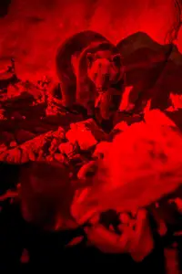 Постер до фильму"" #609208