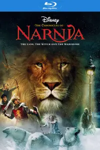 Постер до фильму"Хроніки Нарнії: Лев, чаклунка та шафа" #905485