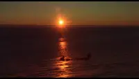 Задник до фильму"" #798452