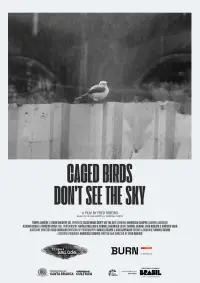 Pássaros Enjaulados Não Veem o Céu