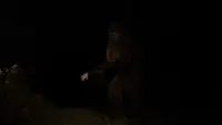 Задник до фильму"" #704203