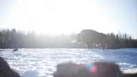 Задник до фильму"" #870382