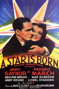 Постер до фильму"Зірка народилася" #993082