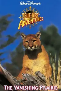 Постер до фильму"" #950009